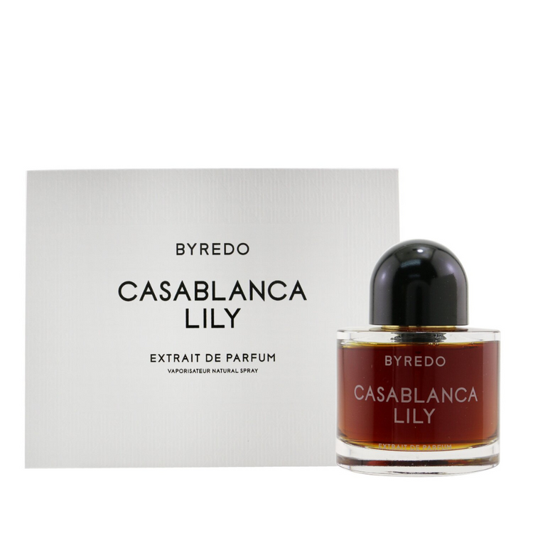 Casablanca Lily