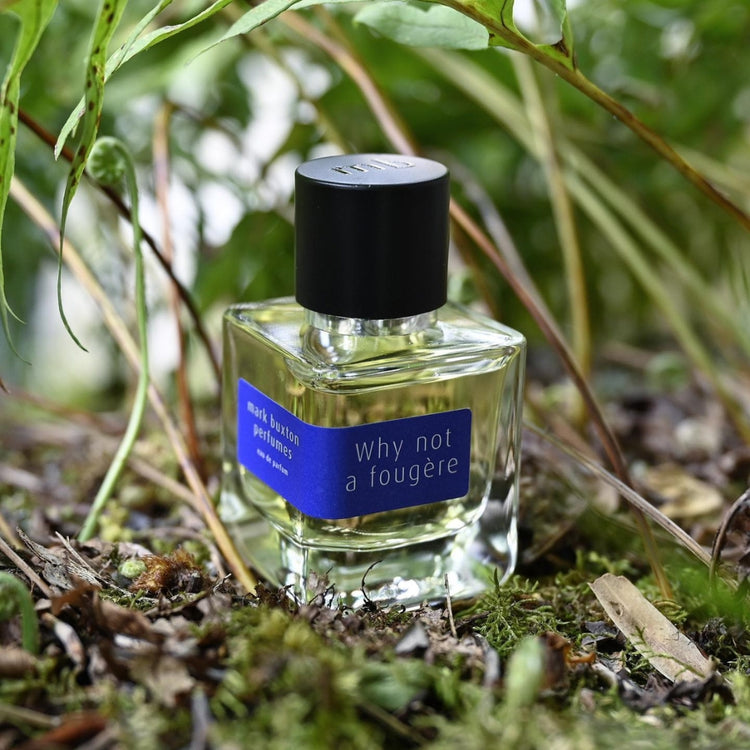 Mark Buxton Why Not a Fougère Eau de parfum