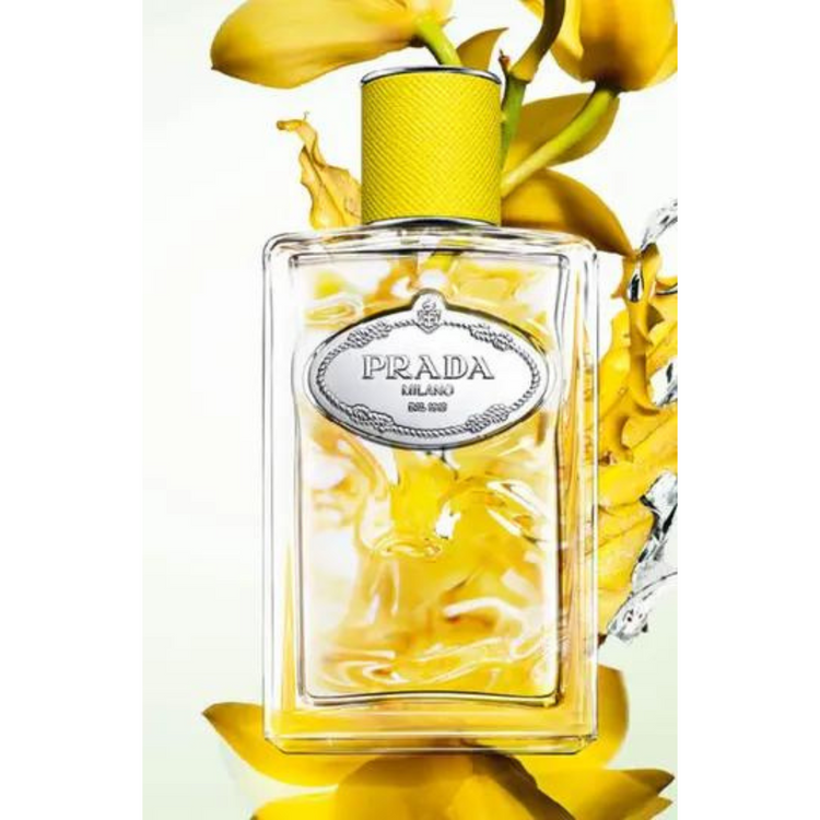 Infusion D'Ylang