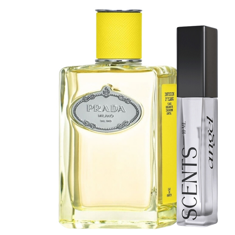 Infusion D'Ylang