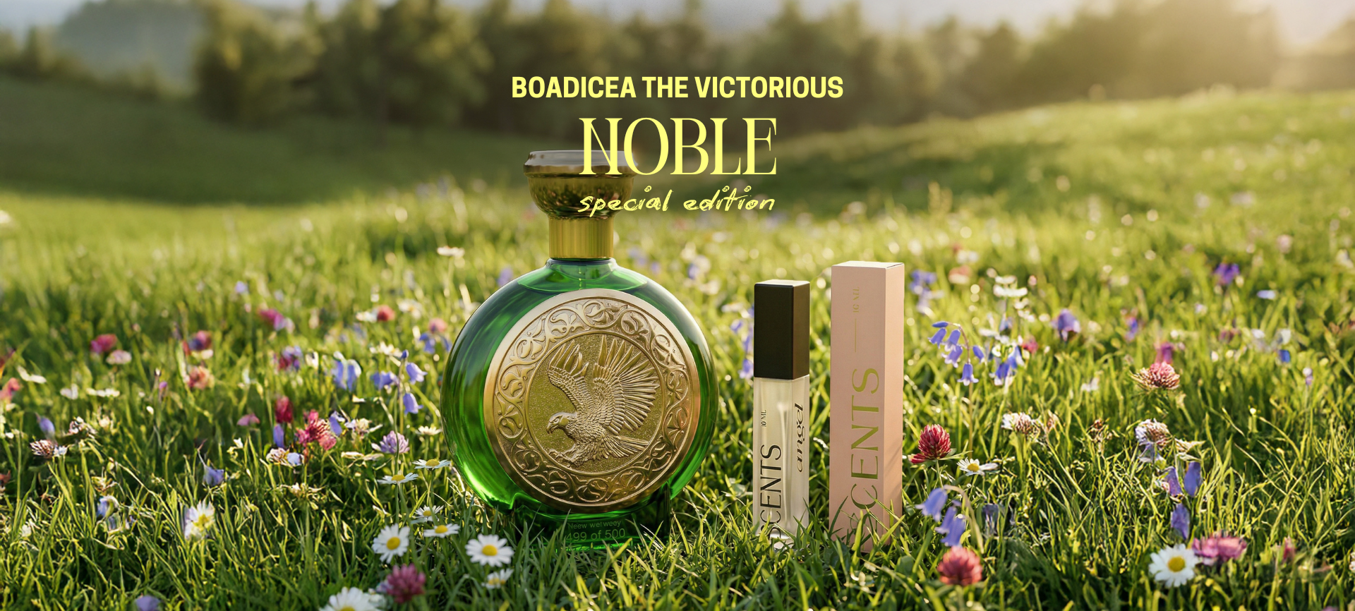 custom-slideshow-image-desktop-block_7RAbkp