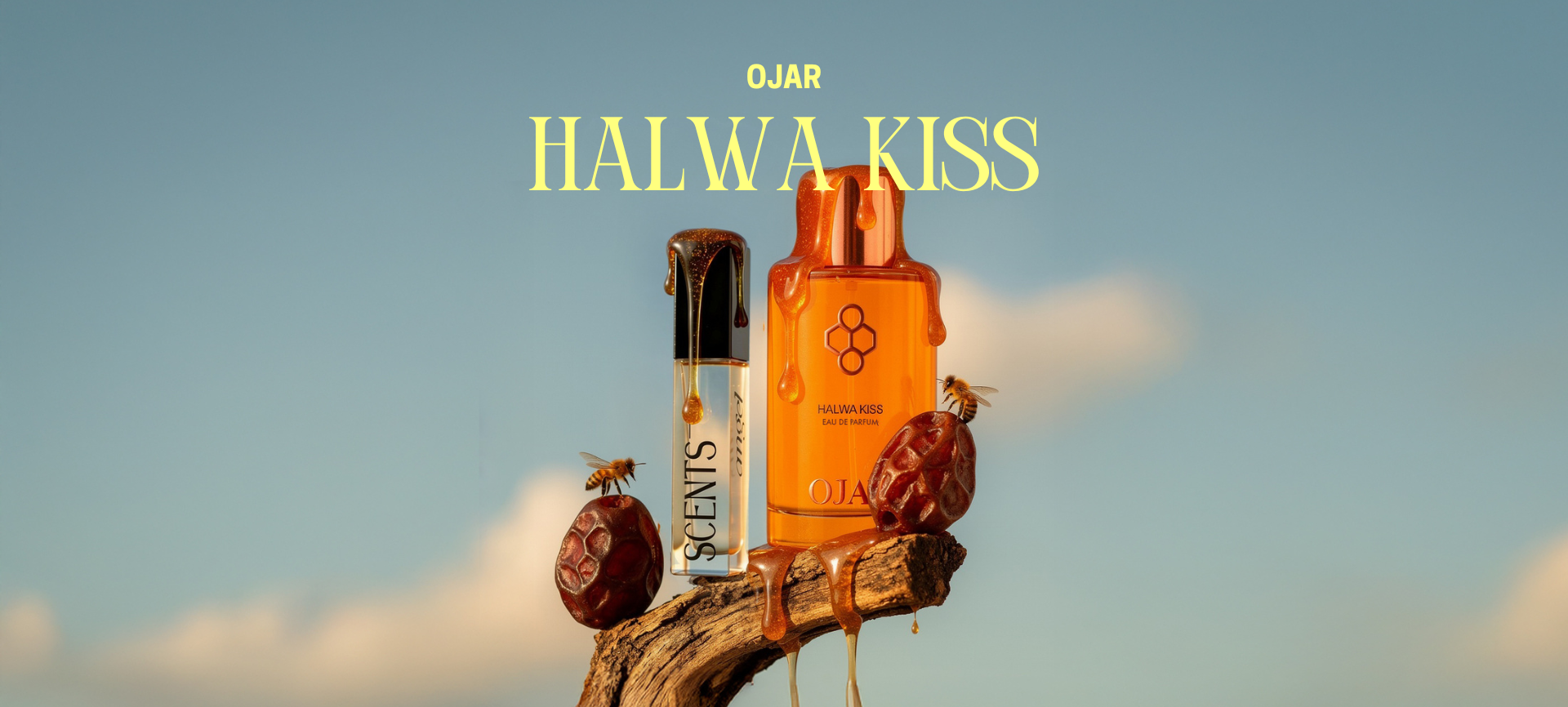 custom-slideshow-image-desktop-block_4TEcCr