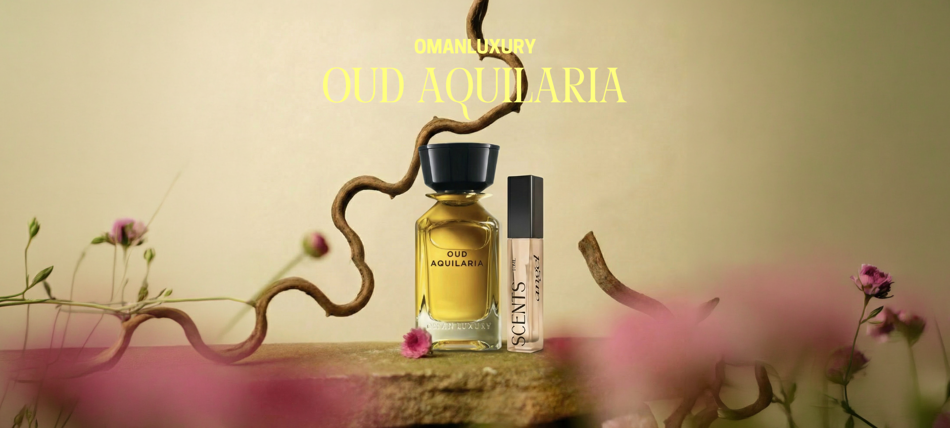 custom-slideshow-image-desktop-block_4TEcCr