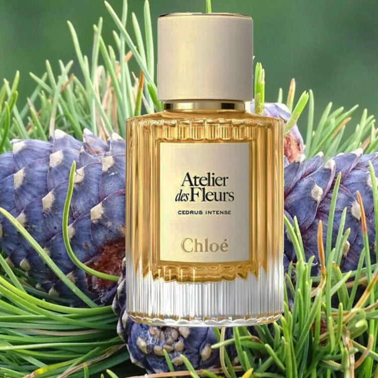 Chloe Atelier des Fleurs Cedrus Intense Eau De Parfum