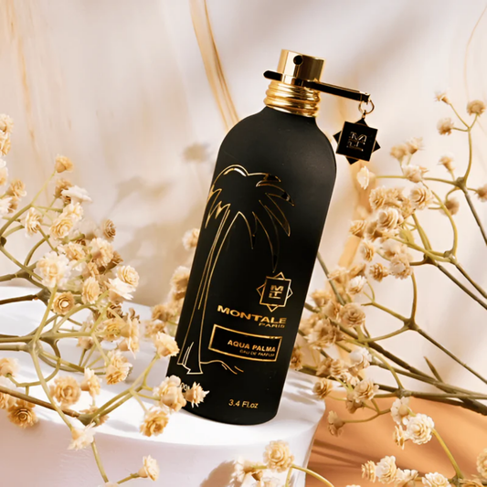 Aqua Palma