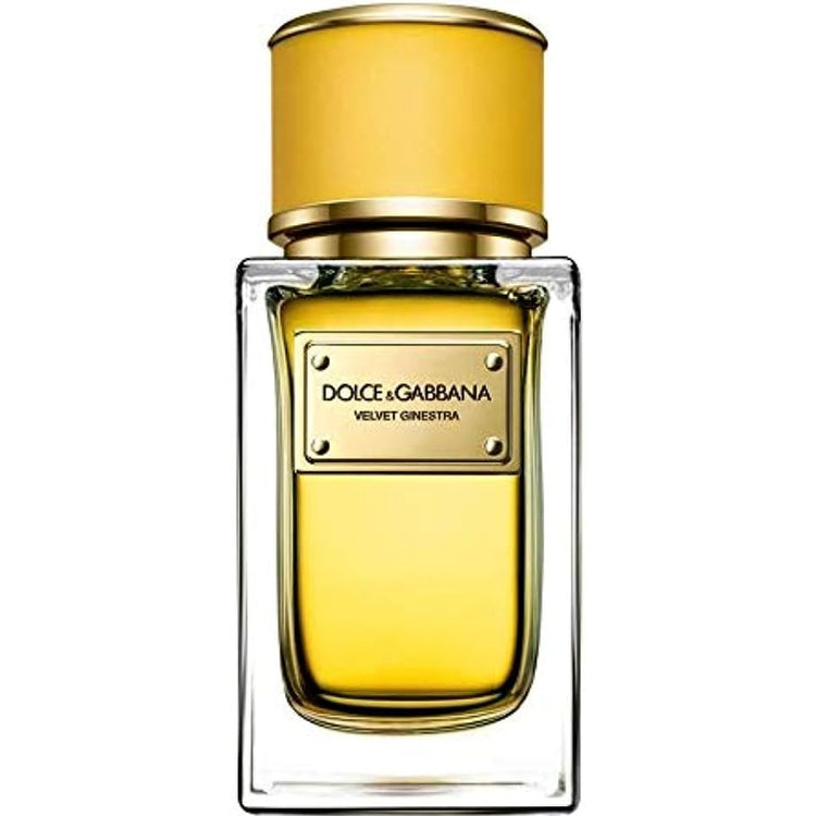 Dolce & Gabbana Velvet Ginestra for women