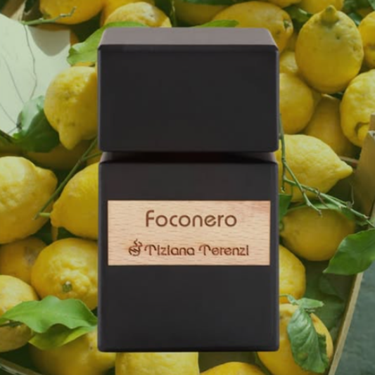 Tiziana Terenzi Foconero Extrait de parfum