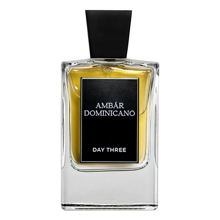 Ambar Dominicano