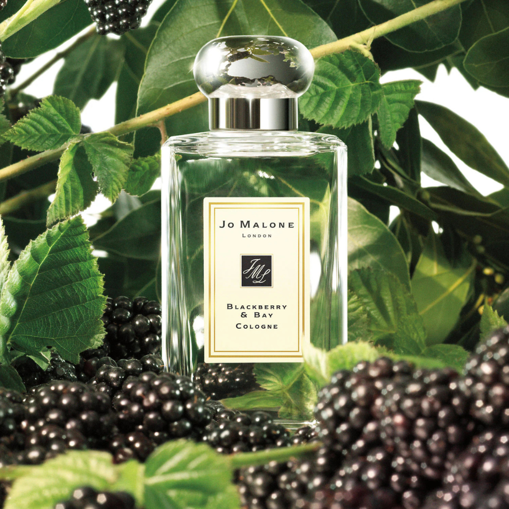 Jo Malone London Blackberry & Bay | Scents Angel