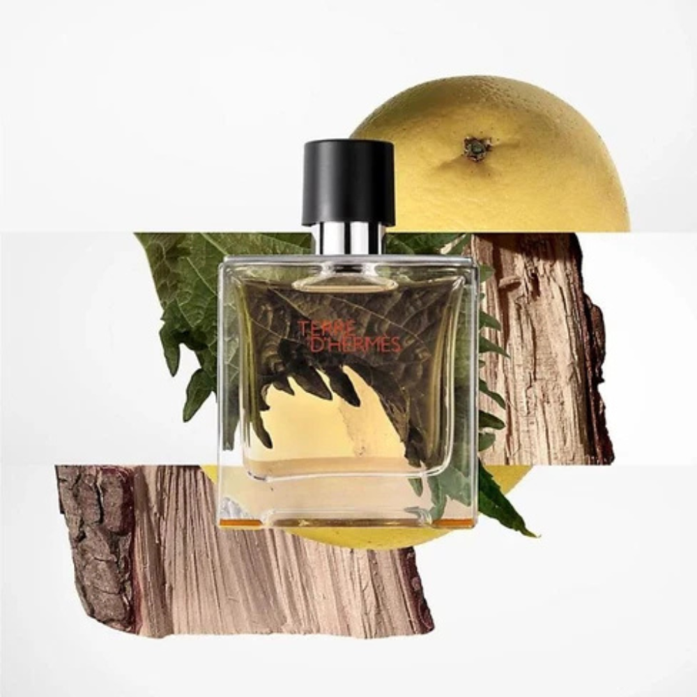 Hermès Terre d'Hermès Pure Parfum | Scents Angel