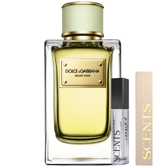Dolce & Gabbana Velvet Pure Parfum
