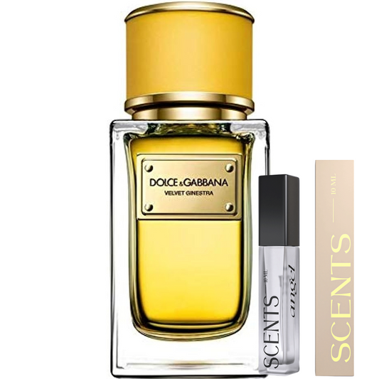 Dolce & Gabbana Velvet Ginestra for women