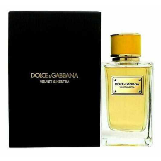 Dolce & Gabbana Velvet Ginestra for women