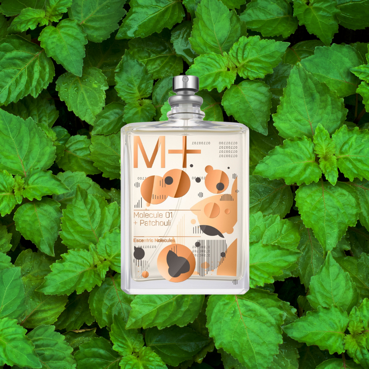 Molecule 01 + Patchouli