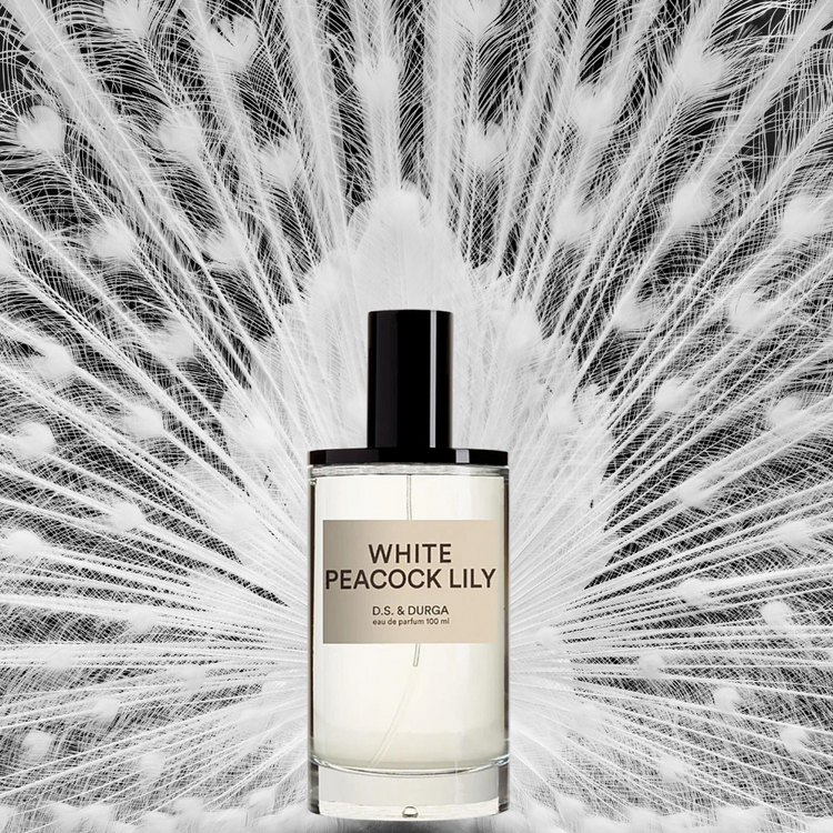 D.S. & Durga White Peacock Lily