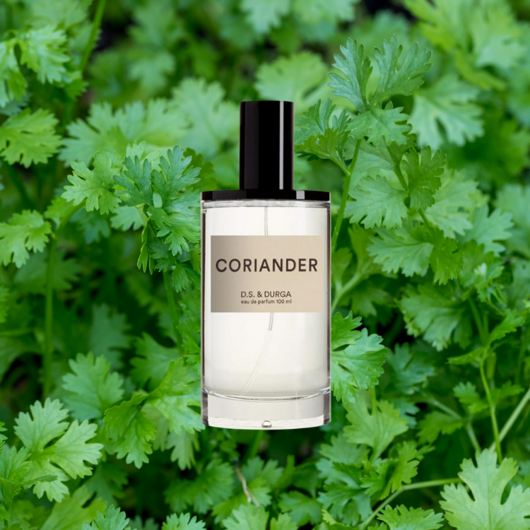 D.S. & Durga Coriander for women | Samples