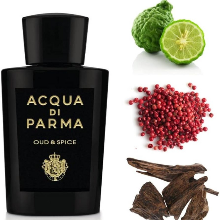 Signatures Of The Sun Oud & Spice