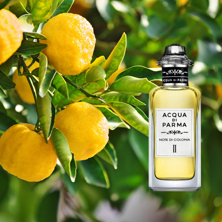 Note di Colonia II Acqua di Parma