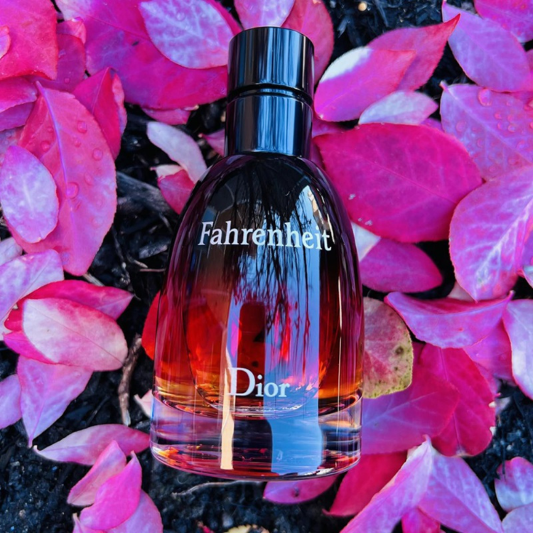 Christian Dior Fahrenheit Parfum | Scents Angel