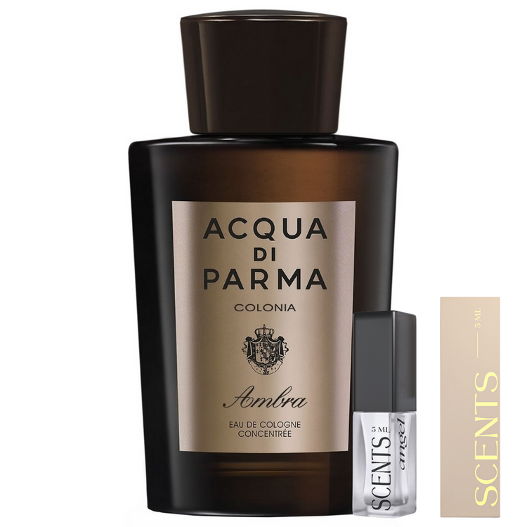 Colonia Ambra