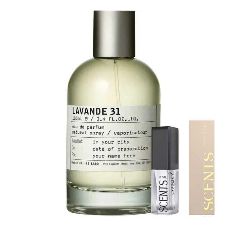 Lavande 31