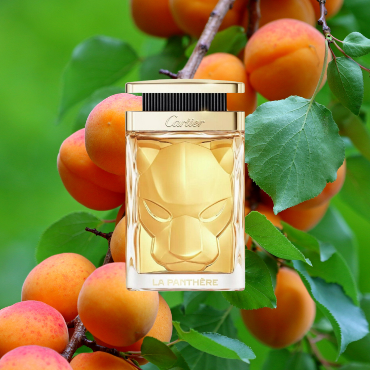 Cartier La Panthere Parfum New Packing