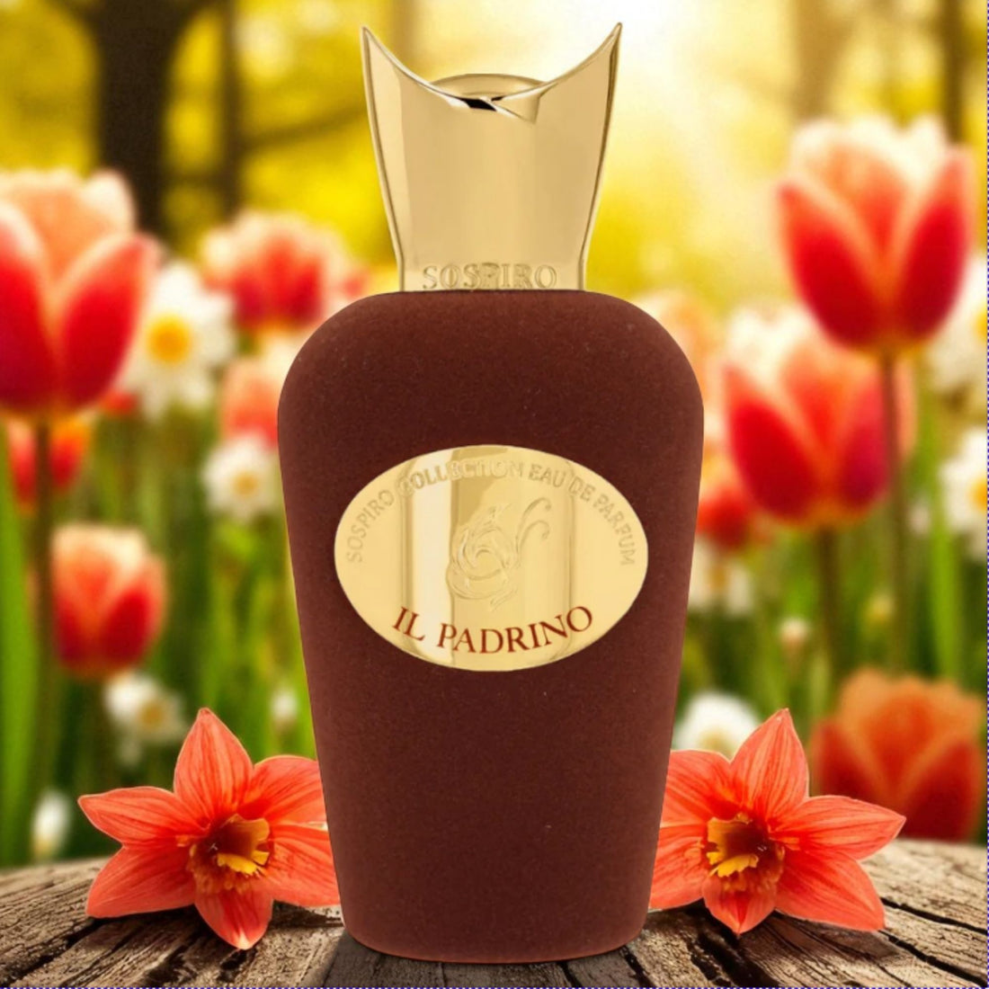 Sospiro Il Padrino Eau de Parfum – 5ml & 10ml Decants or 100ml