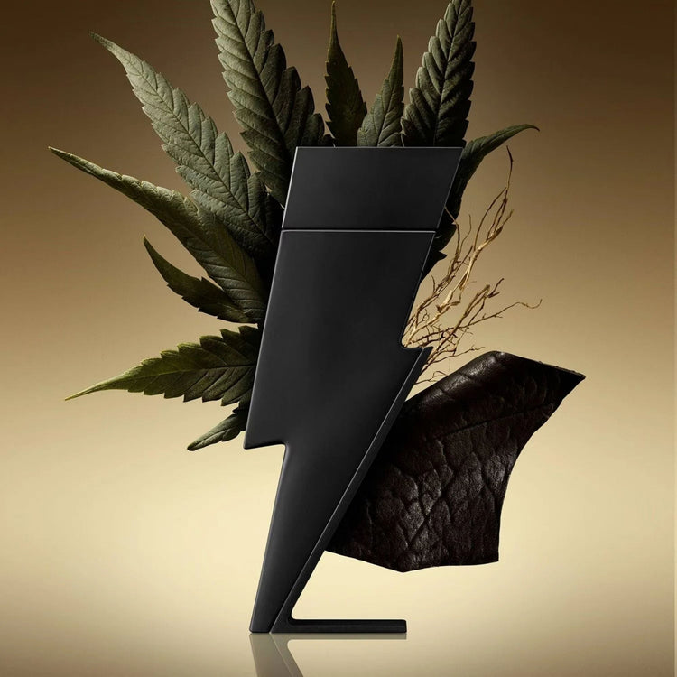Carolina Herrera Bad Boy Le Parfum Eau De Parfum