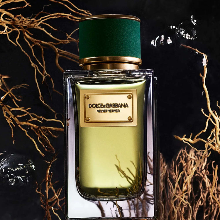 Dolce & Gabbana Velvet Vetiver Eau De Parfum