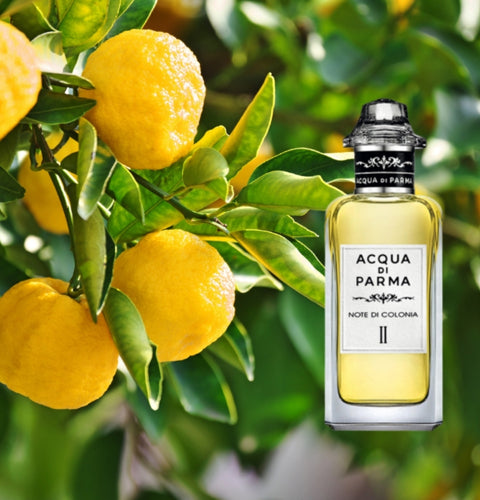Note Di Colonia II Eau De Cologne
