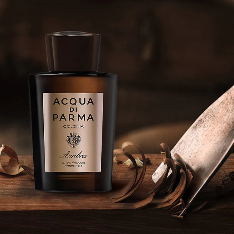 Colonia Ambra