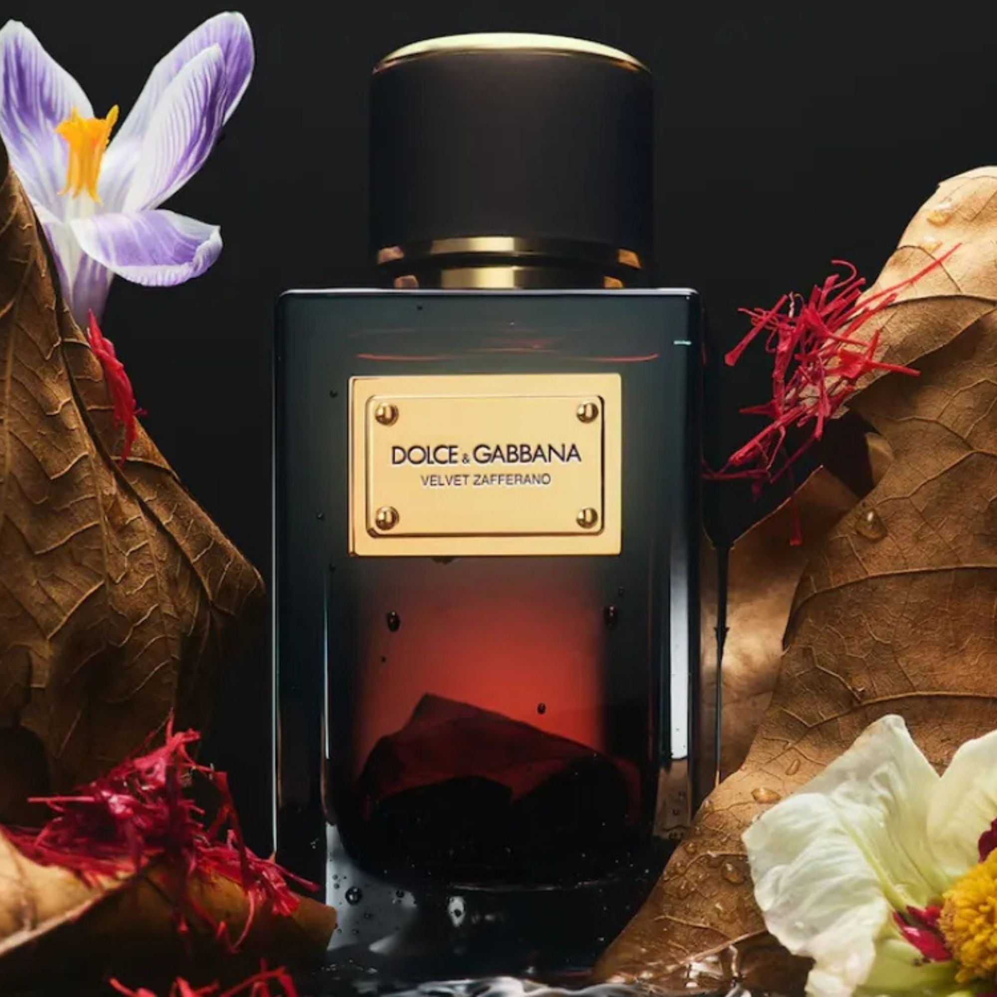 Dolce & Gabbana Velvet Zafferano Eau De Parfum– 5ml & 10ml Samples