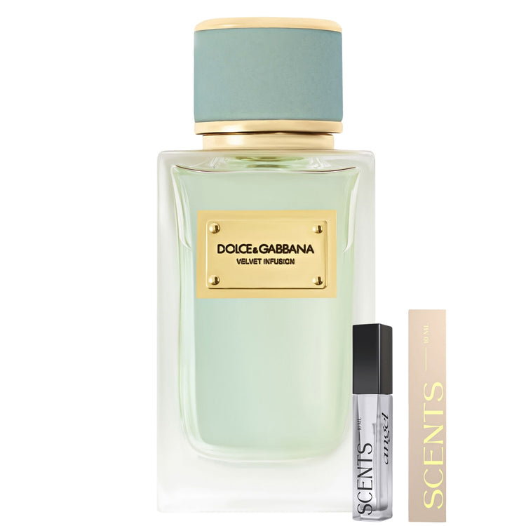 Dolce & Gabbana Velvet Infusion Eau De Parfum