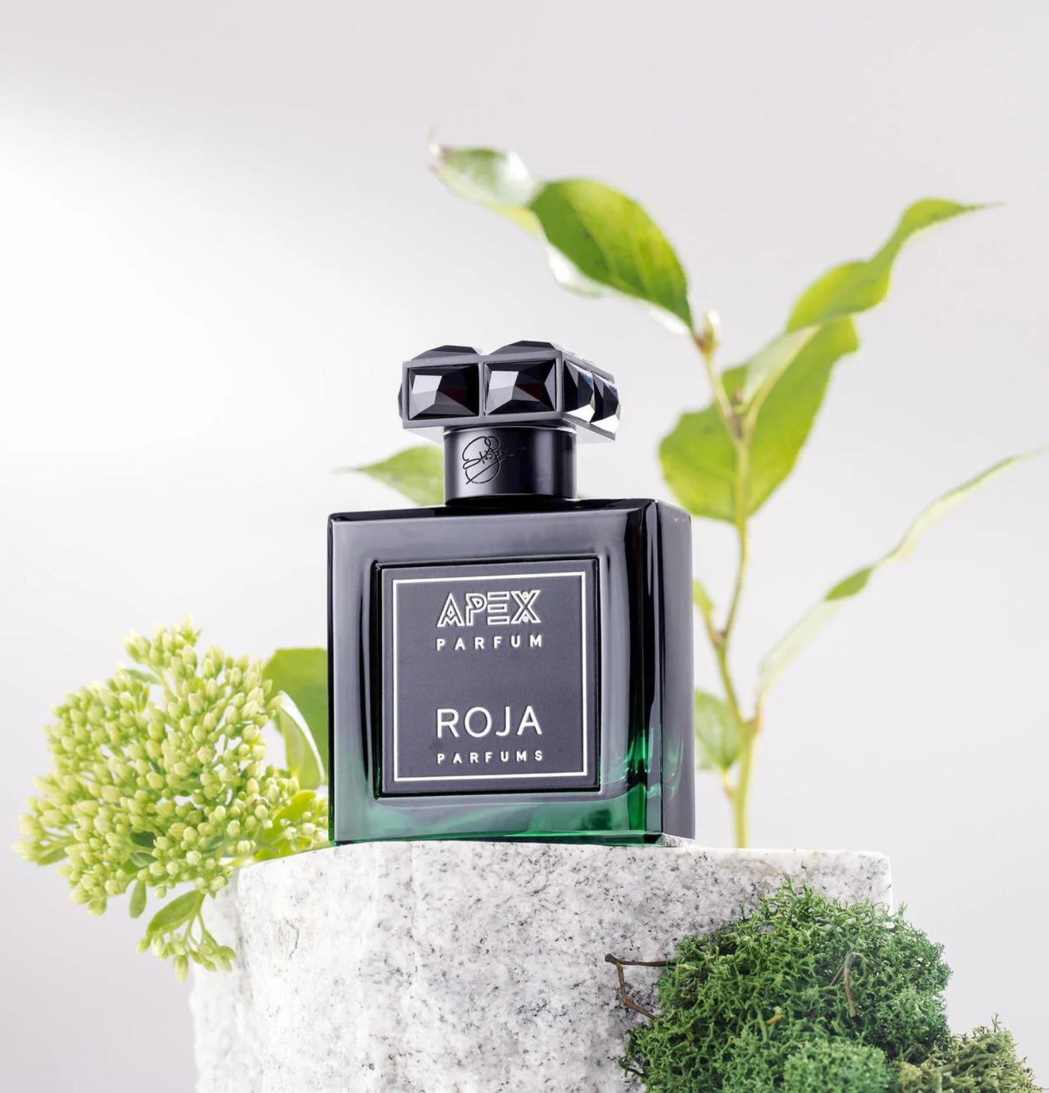 Roja Parfums Apex Pour Homme Parfum Scents Angel