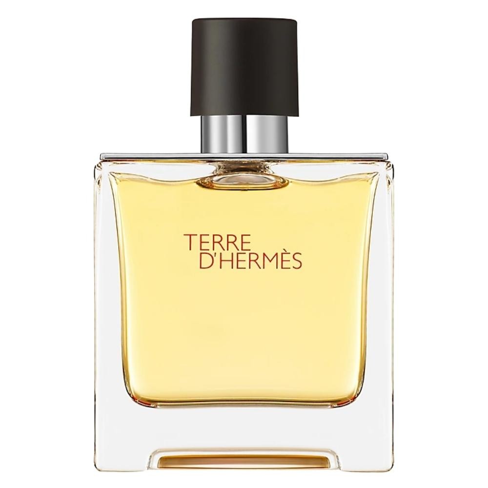Hermès Terre d'Hermès Pure Parfum | Scents Angel